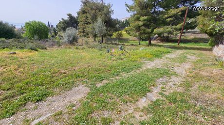 Parcel 246 sqm for sale