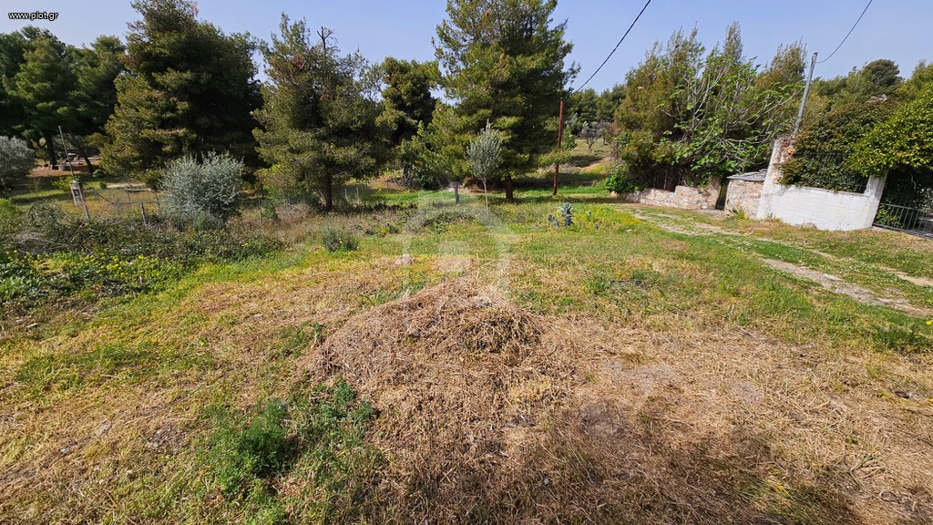 Αγροτεμάχια 246 τ.μ. προς πώληση, Μαγούλα Ερέτριας