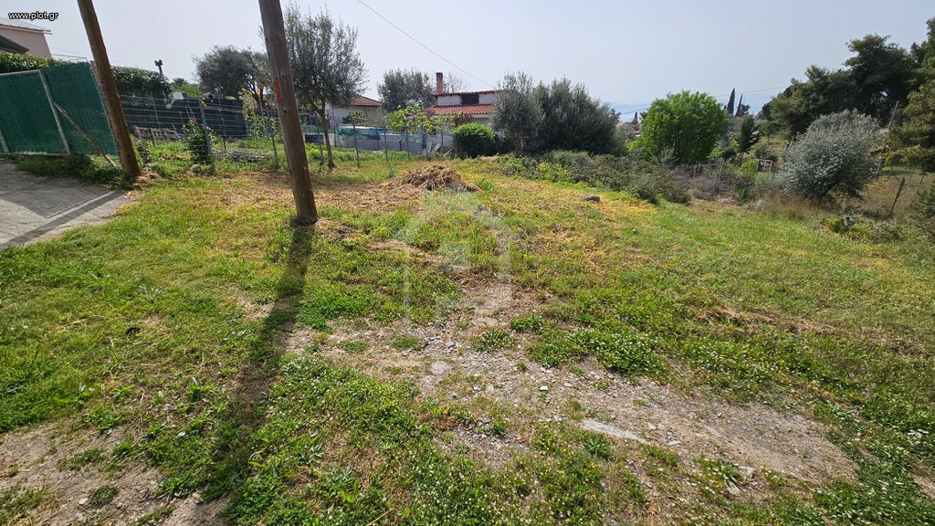 Αγροτεμάχια 246 τ.μ. προς πώληση, Μαγούλα Ερέτριας