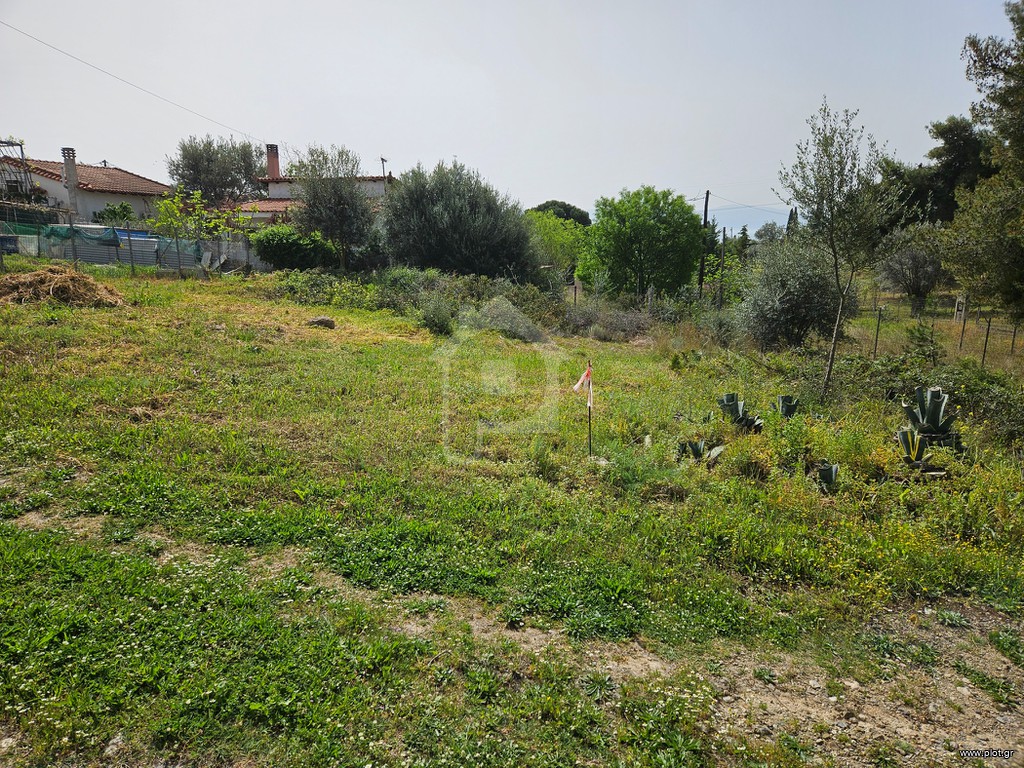 Αγροτεμάχια 246 τ.μ. προς πώληση, Μαγούλα Ερέτριας