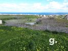 Land plot 50.000sqm for sale-Santorini