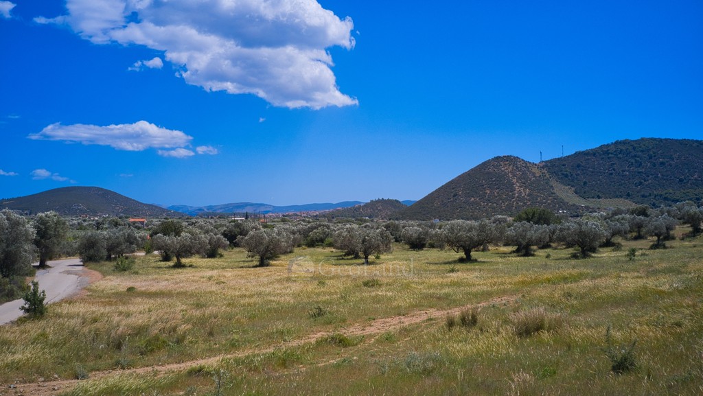 Αγροτεμάχια 22.500 τ.μ. προς πώληση, Κέντρο Ερμιόνης