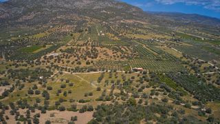 Αγροτεμάχια 22.500 τ.μ. προς πώληση, Κέντρο Ερμιόνης-thumb-15