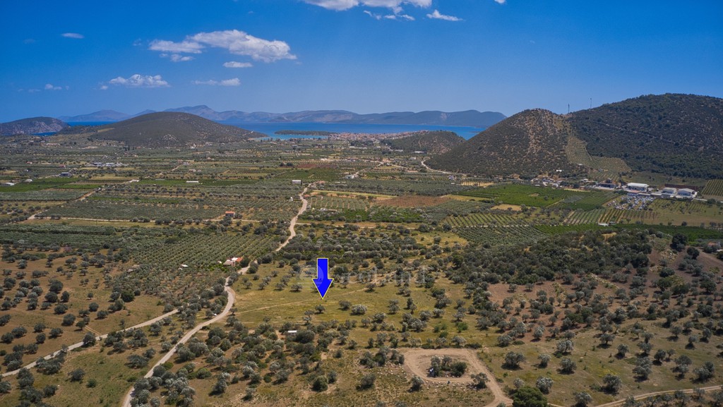 Αγροτεμάχια 22.500 τ.μ. προς πώληση, Κέντρο Ερμιόνης