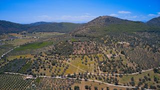 Αγροτεμάχια 22.500 τ.μ. προς πώληση, Κέντρο Ερμιόνης-thumb-22
