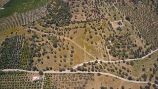 Αγροτεμάχια 22.500 τ.μ. προς πώληση, Κέντρο Ερμιόνης-thumb-14