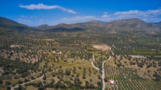 Αγροτεμάχια 22.500 τ.μ. προς πώληση, Κέντρο Ερμιόνης-thumb-18