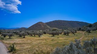 Αγροτεμάχια 22.500 τ.μ. προς πώληση, Κέντρο Ερμιόνης-thumb-10