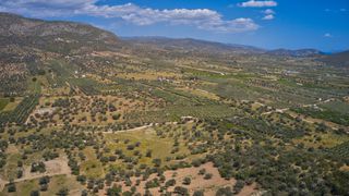Αγροτεμάχια 22.500 τ.μ. προς πώληση, Κέντρο Ερμιόνης-thumb-16