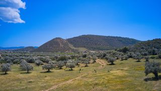Αγροτεμάχια 22.500 τ.μ. προς πώληση, Κέντρο Ερμιόνης-thumb-21
