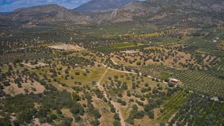 Αγροτεμάχια 22.500 τ.μ. προς πώληση, Κέντρο Ερμιόνης-thumb-13