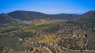 Αγροτεμάχια 22.500 τ.μ. προς πώληση, Κέντρο Ερμιόνης-thumb-11
