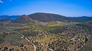 Αγροτεμάχια 22.500 τ.μ. προς πώληση, Κέντρο Ερμιόνης-thumb-12