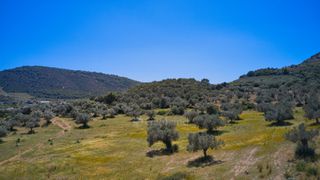 Αγροτεμάχια 22.500 τ.μ. προς πώληση, Κέντρο Ερμιόνης-thumb-20