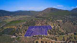 Αγροτεμάχια 22.500 τ.μ. προς πώληση, Κέντρο Ερμιόνης-thumb-6