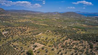 Αγροτεμάχια 22.500 τ.μ. προς πώληση, Κέντρο Ερμιόνης-thumb-17