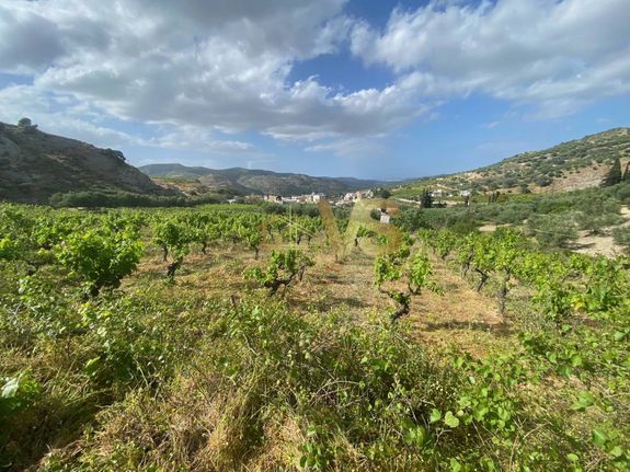 Land plot 3.548 sqm for sale, Heraklion Prefecture, Temenos