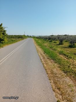 Οικόπεδο 2.000 τ.μ. για πώληση