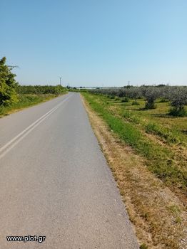 Land plot 2.000sqm for sale-Dovra » Agios Georgios
