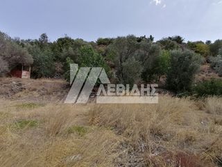 Οικόπεδο 2.353 τ.μ. προς πώληση, Ν. Χίου, Χίος-thumb-1
