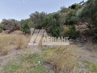 Οικόπεδο 2.353 τ.μ. προς πώληση, Ν. Χίου, Χίος-thumb-2