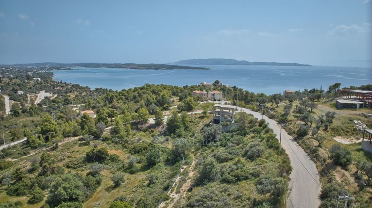 Οικόπεδο 430 τ.μ. για πώληση, Αργολίδα, Κρανίδι