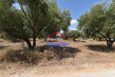 Αγροτεμάχια 859 τ.μ. για πώληση