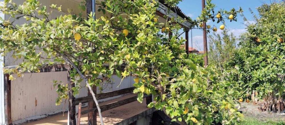 Μονοκατοικία 60 τ.μ. προς πώληση, Κορινθία, Ευρωστίνη