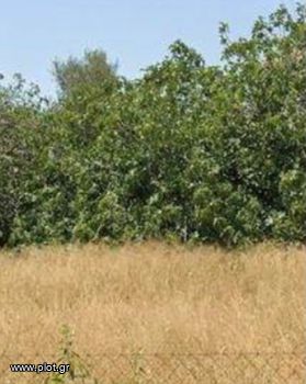 Οικόπεδο 620τ.μ. για πώληση-Βούλα » Δικηγορικά