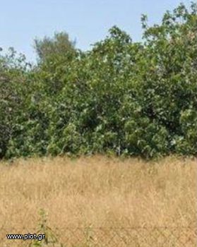 Land plot 620sqm for sale-Voula » Dikigorika