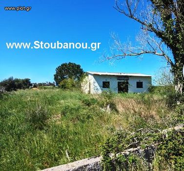 Store 136sqm for sale-Vartholomio » Kalivia