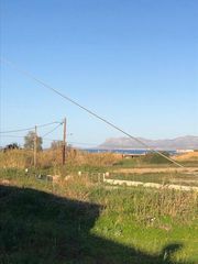 Οικόπεδο 3.319 τ.μ. για πώληση