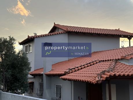 Μονοκατοικία 160τ.μ. για πώληση-Κορωπί » Αγία μαρίνα