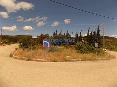 Οικόπεδο 464τ.μ. για πώληση-Λαμία » Σταυρός