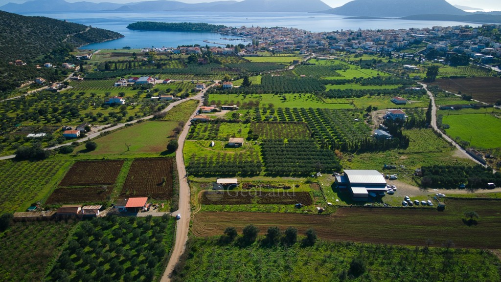 Κατάστημα 310 τ.μ. προς πώληση, Κέντρο Ερμιόνης