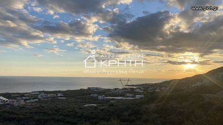 Οικόπεδο 4.300 τ.μ. για πώληση