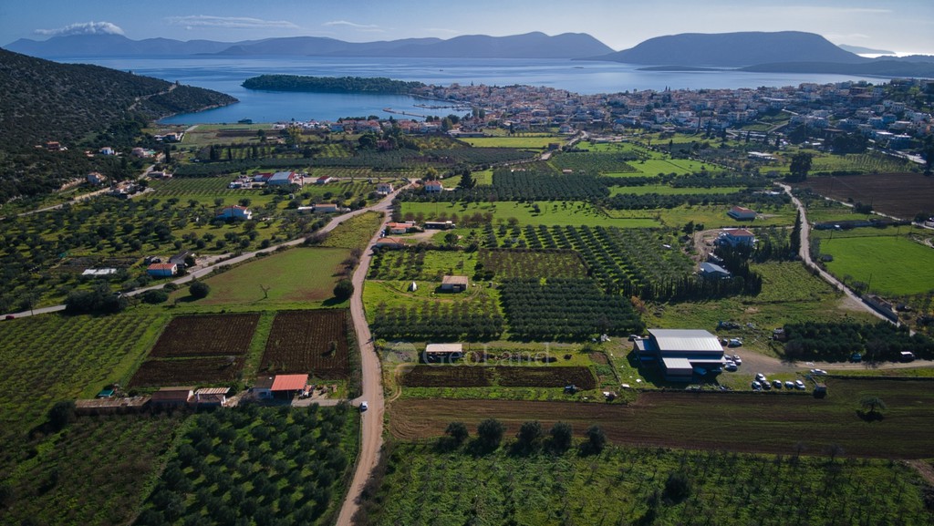 Αγροτεμάχια 5.800 τ.μ. για πώληση, Αργολίδα, Ερμιόνη