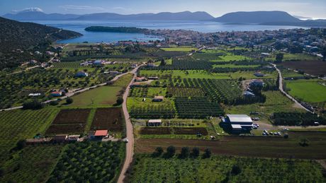 Αγροτεμάχια 5.800 τ.μ. για πώληση