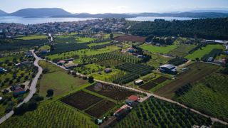 Αγροτεμάχια 5.800 τ.μ. για πώληση, Αργολίδα, Ερμιόνη-thumb-7