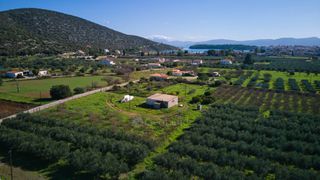 Αγροτεμάχια 5.800 τ.μ. για πώληση, Αργολίδα, Ερμιόνη-thumb-4