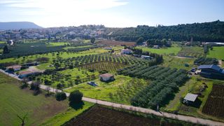 Αγροτεμάχια 5.800 τ.μ. για πώληση, Αργολίδα, Ερμιόνη-thumb-19
