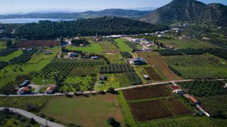 Αγροτεμάχια 5.800 τ.μ. για πώληση, Αργολίδα, Ερμιόνη-thumb-9