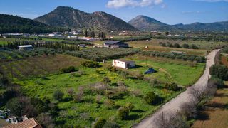 Αγροτεμάχια 5.800 τ.μ. για πώληση, Αργολίδα, Ερμιόνη-thumb-2