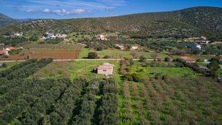 Αγροτεμάχια 5.800 τ.μ. για πώληση, Αργολίδα, Ερμιόνη-thumb-13