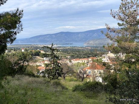 Αγροτεμάχια 6.564τ.μ. για πώληση-Κρανίδι » Κέντρο
