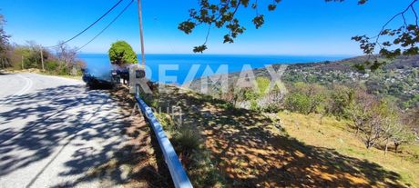 Parcel 6.921sqm for sale-Zagora » Makrirrachi