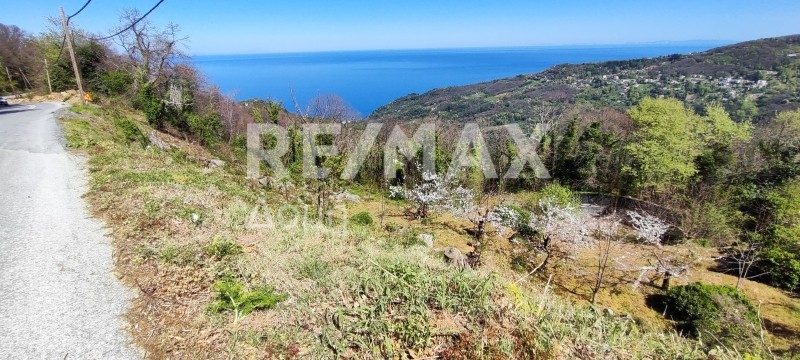Αγροτεμάχια 6.921 τ.μ. πρός πώληση, Μαγνησία, Ζαγορά