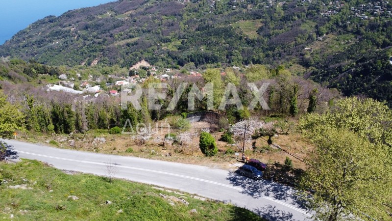 Αγροτεμάχια 6.921 τ.μ. πρός πώληση, Μαγνησία, Ζαγορά