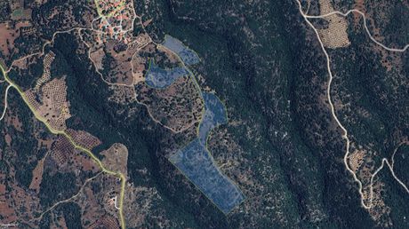 Αγροτεμάχια 63.221 τ.μ. για πώληση