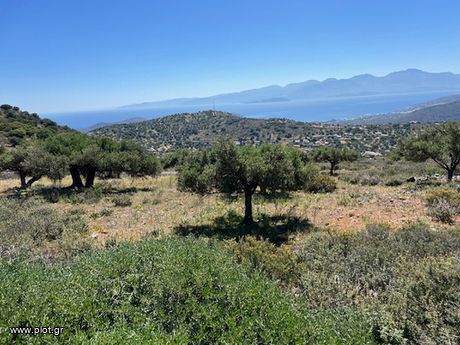 Land plot 2.883sqm for sale-Agios Nikolaos » Epano Pines
